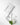 Nacific Phyto Niacin Whitening Kit