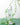 Nacific Fresh Cica Plus Clear Toner 150ml